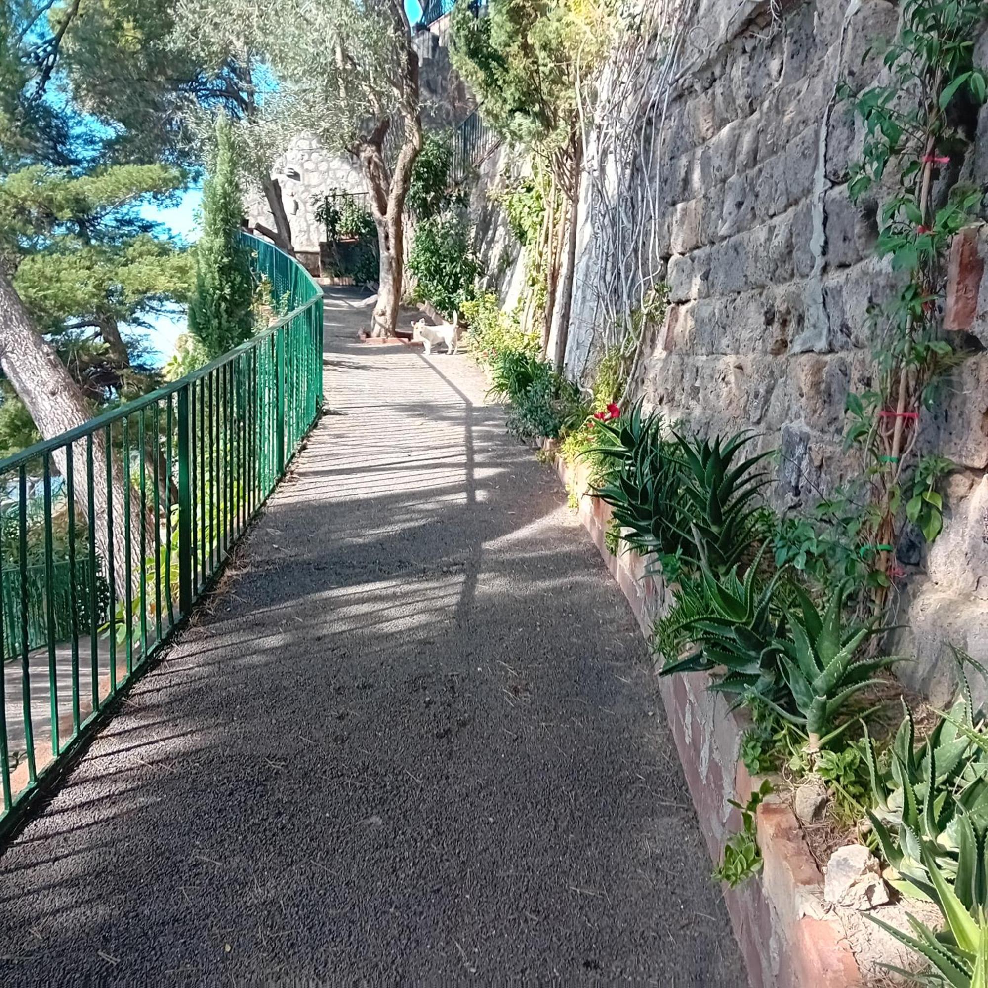 Villa La Galetta ヴィーコ・エクエンセ エクステリア 写真